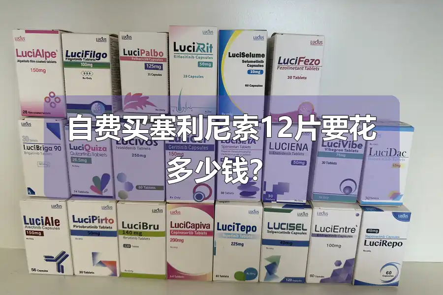 自费买塞利尼索12片要花多少钱？